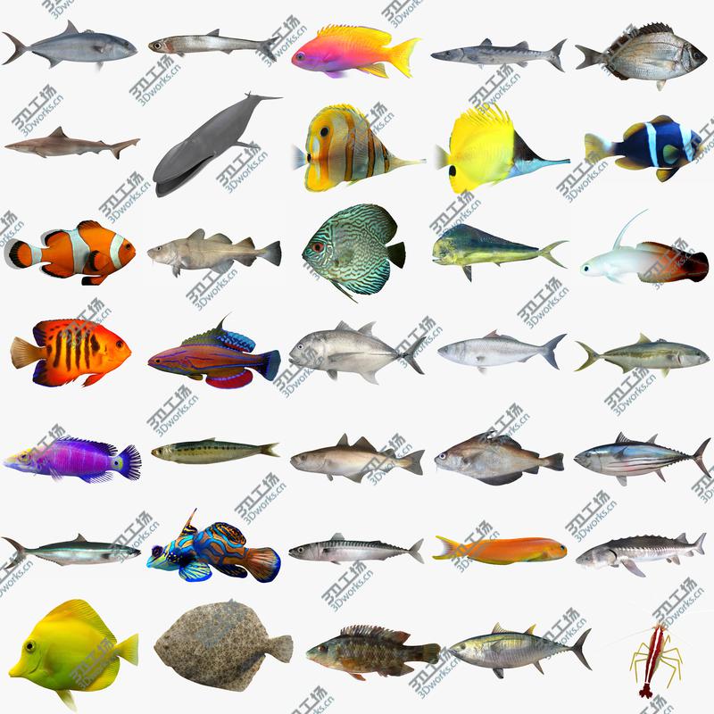 images/goods_img/20210114/Fish Megapack/1.jpg